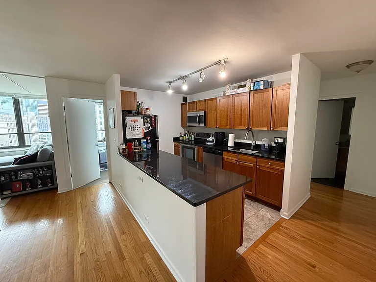 222 E Pearson St #2406 — Photo 5