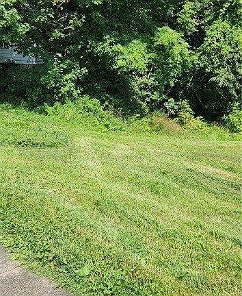3rd image of 513 Orchard Ave