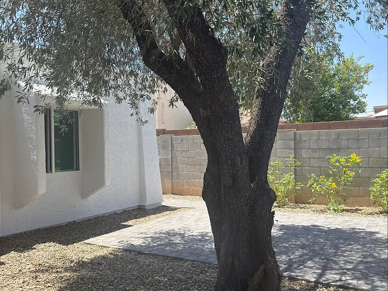 4019 E Desert Cactus St — Photo 11