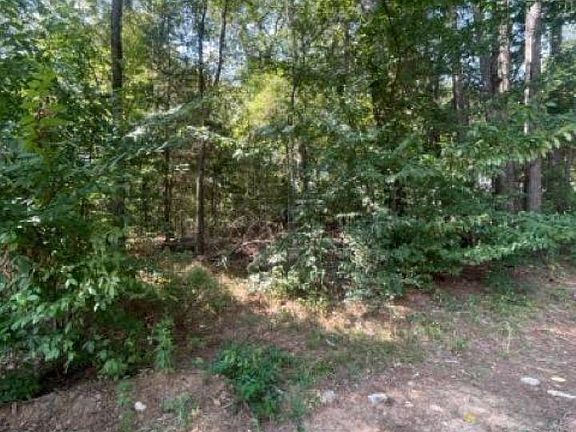3rd image of 515 Caroline Ln