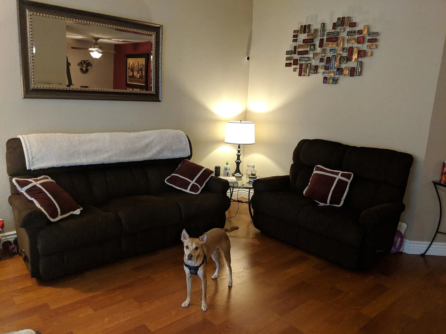 2 bed, 900 sqft, $2,675 — Photo 3