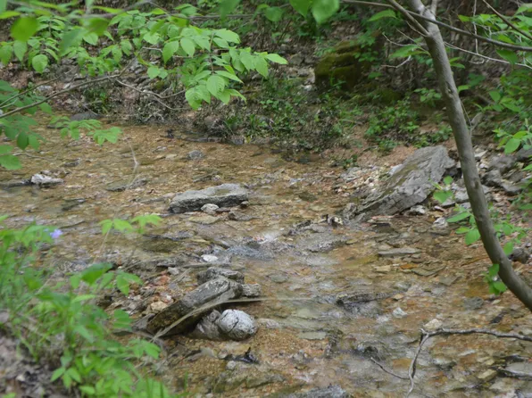 Lot 6 Scenic Heights, Bruner, MO 65620