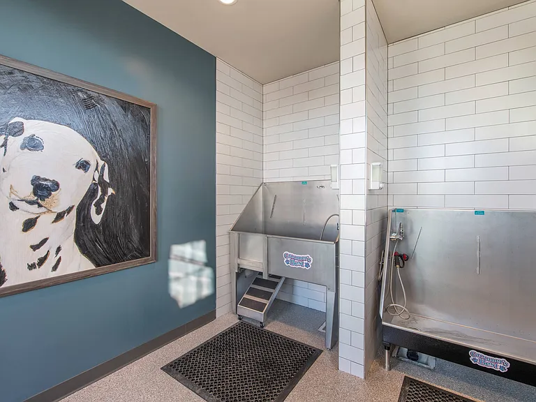 Paw Spa Pet Wash
