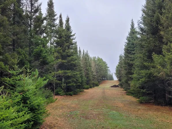 Timber Wolf Trl SW, Pine River, MN 56474