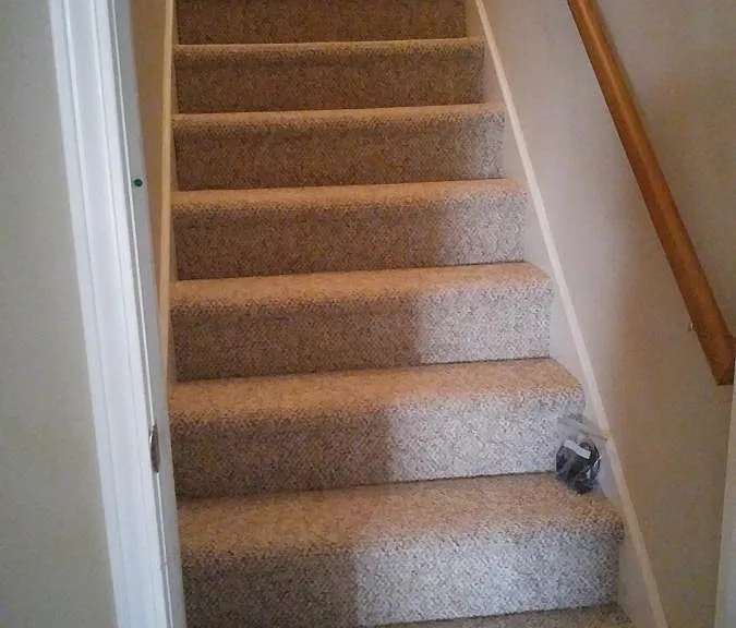 Stairs to FROG