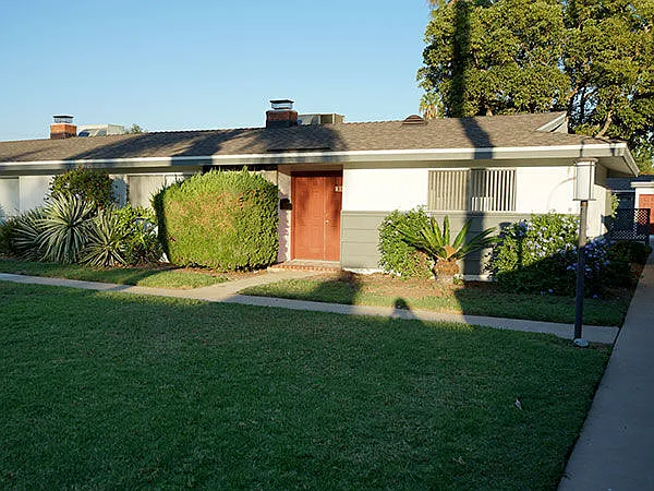 The Palms Apartments — Photo 18