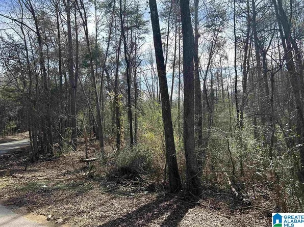 0 Highway 315 #1, Columbiana, AL 35051