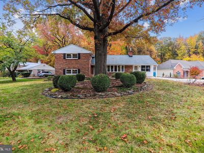 11335 Frances Dr, Beltsville, MD, 20705