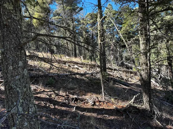 lot 261 Vista del Valle, Angel Fire, NM 87710