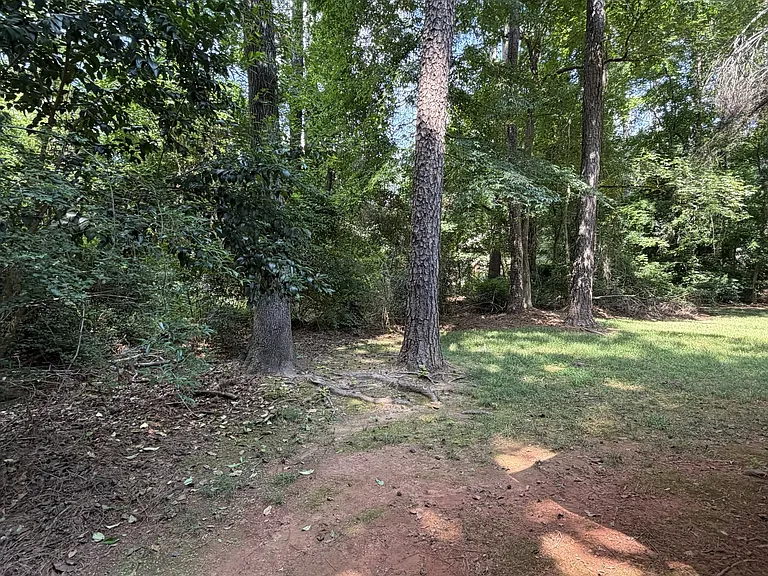 1705 Cedar Shoals Dr — Photo 15