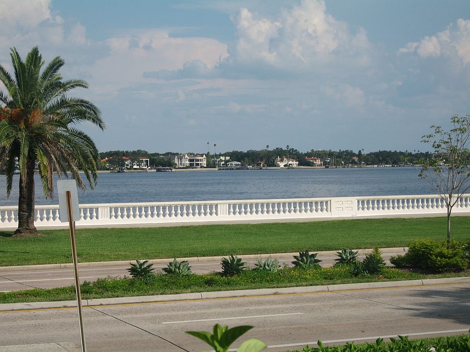 Hillsborough Bay from the deck