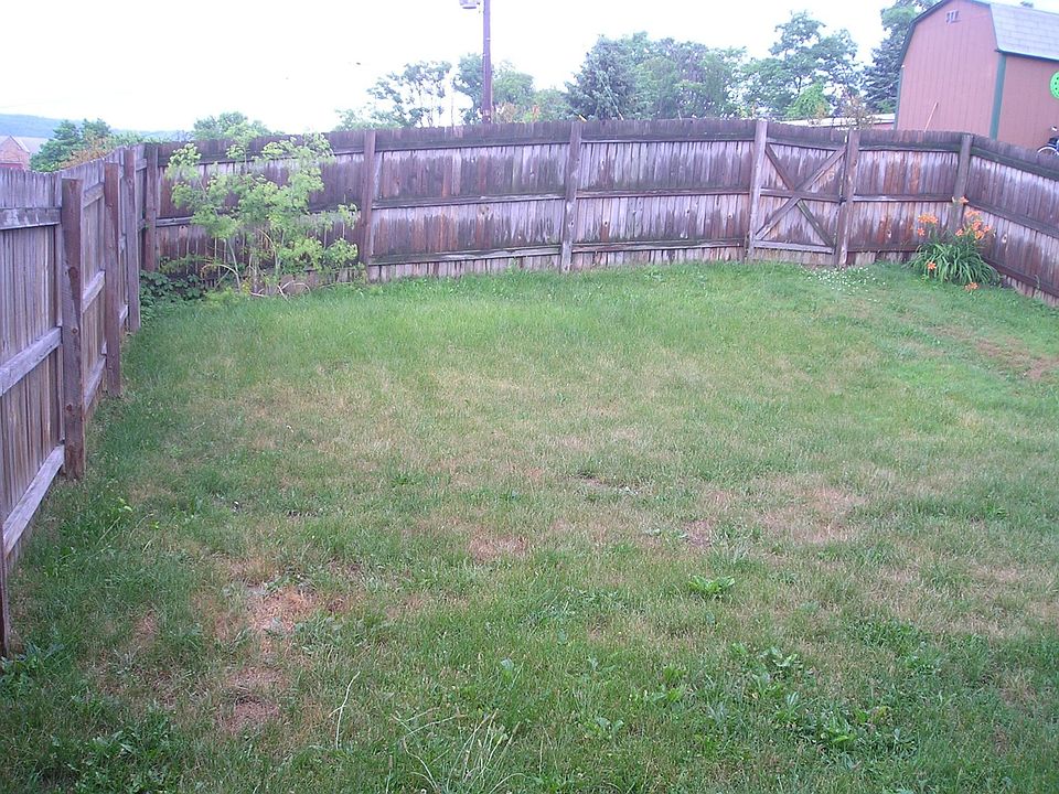 fenced back yard