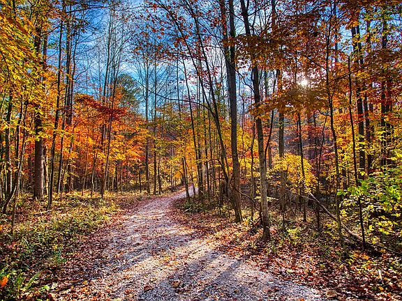 5th image of 1192 Shellotte Loop Rd