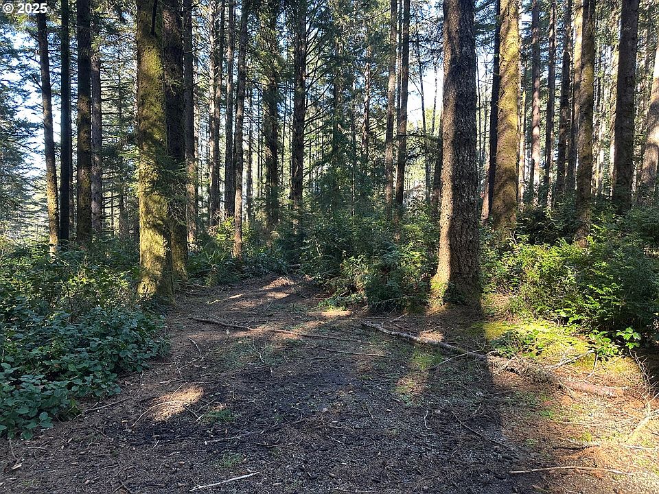 2nd image of 0 Cape Ferrelo Rd