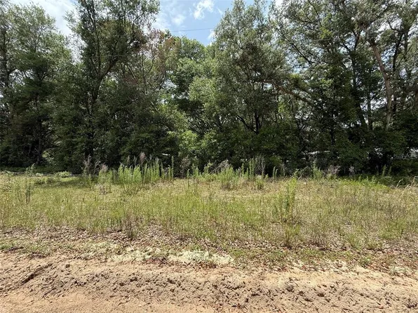 119 Smokey Ave Lot 28, Interlachen, FL 32148