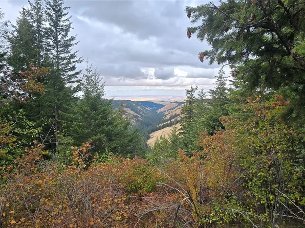 30 Acres off Biscuit Ridge, Waitsburg, WA 99361