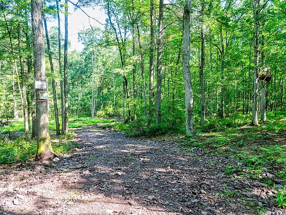 2nd image of Lot 23 Perry Pond Road