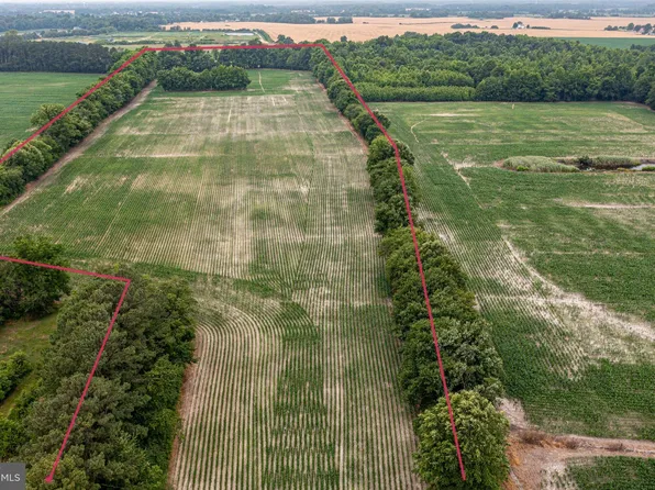 593 Gravesend Rd, Smyrna, DE 19977