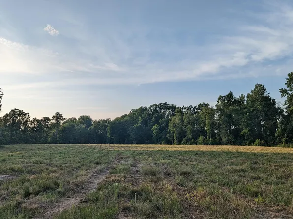 1590 Nick Coley Road, Whitakers, NC 27891