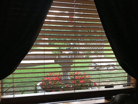 View from office/media room 