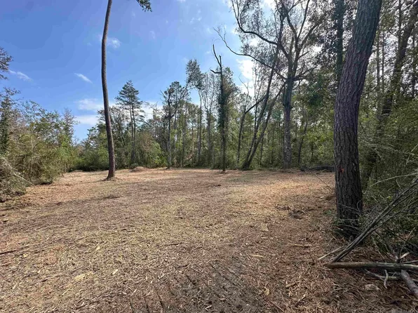 White Oak Ln, Springfield, LA 70462