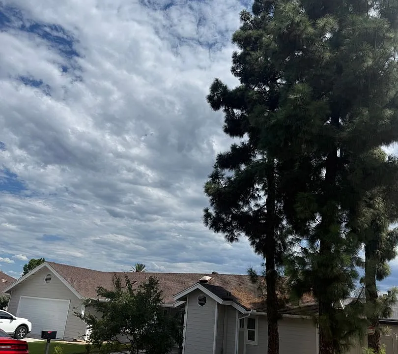 1037 Pine Dr