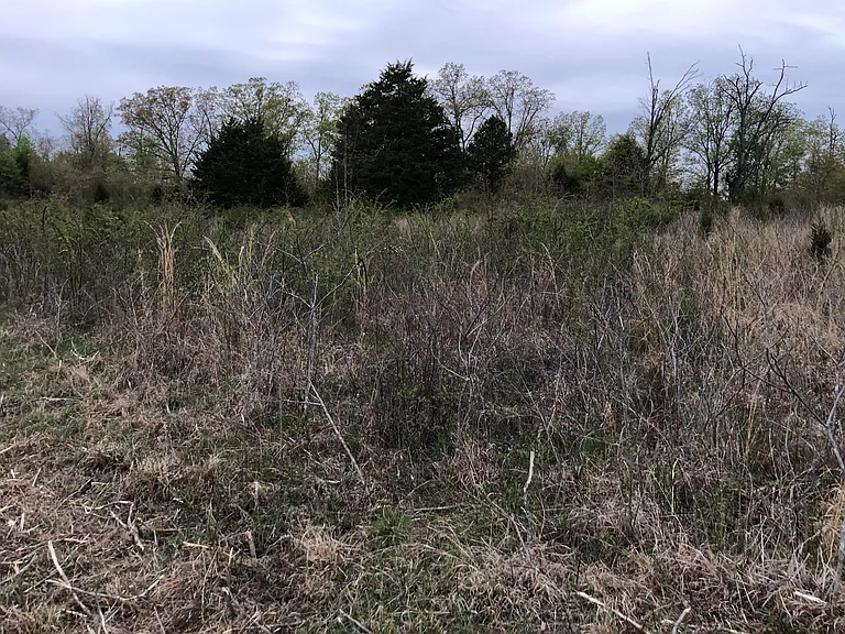 940 County Road 534 — Photo 14