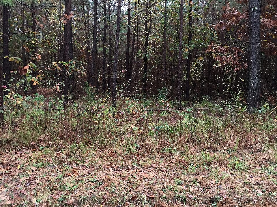 2nd image of 02 Wilson School Rd