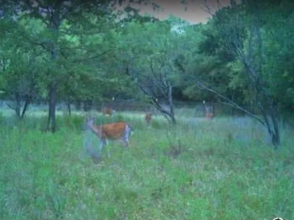 400 Private Road 3633, Springtown, TX 76082