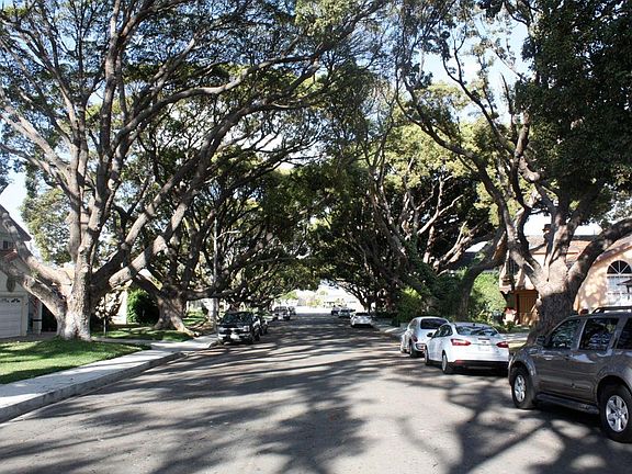 Historic Tree Line Street