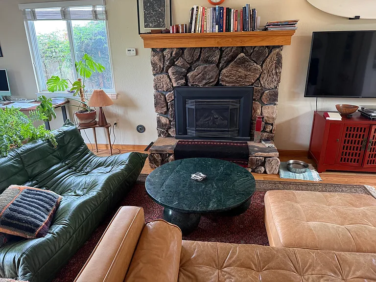 Gas powered fireplace insert