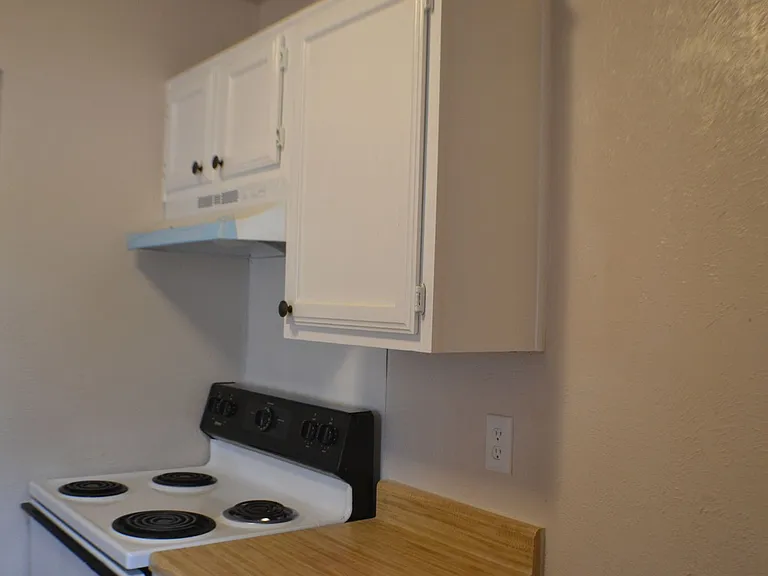 1520 Pebblewood Dr — Photo 10