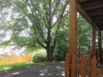 4th image of 55 Marty Cir