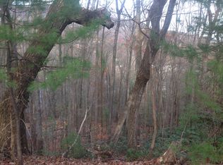 Seton Road, Lake Lure, NC 28746