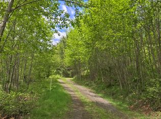 240 Bald Eagle Rd, Ariel, WA 98603