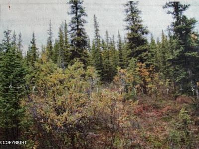 Trt 20 Asls #2009-46, Glennallen, AK, 99588