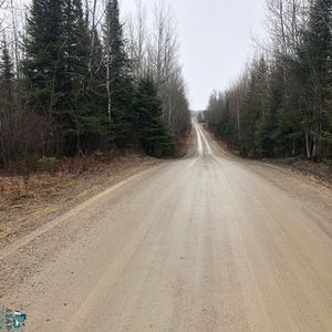 Roini Rd, Angora, MN, 55703