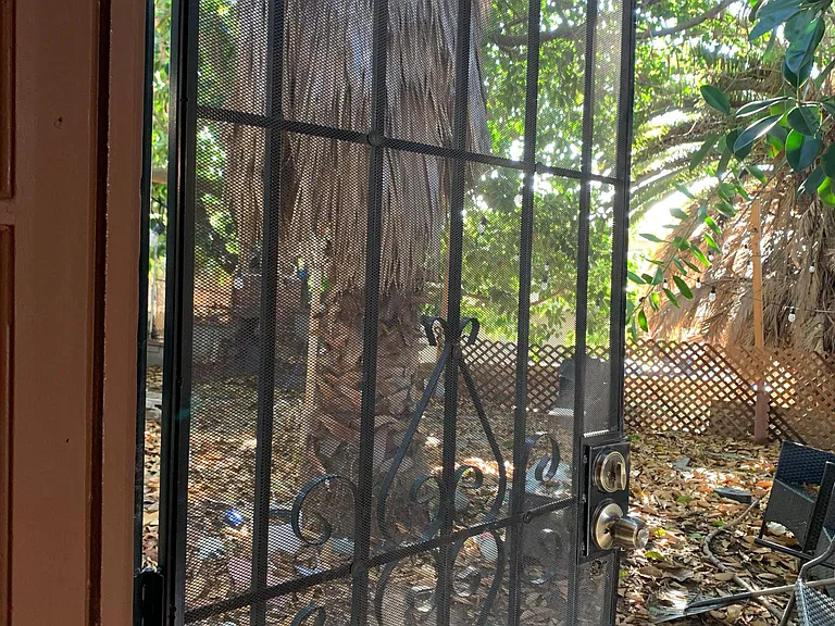 Tree lined back yard