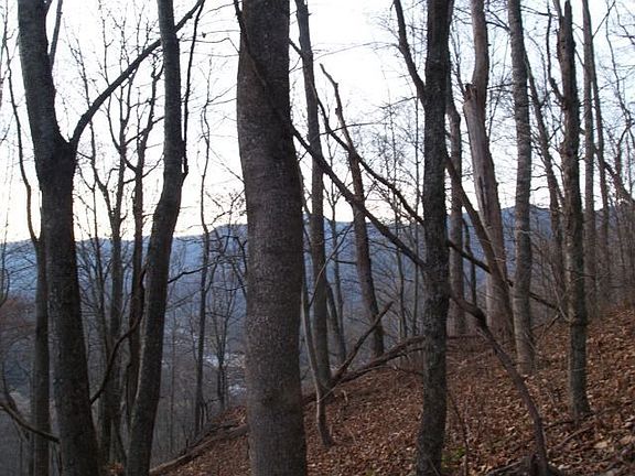 Beautiful potential homesite at the top of property with 360 degree views