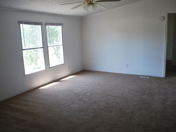 New Carpet Through Out