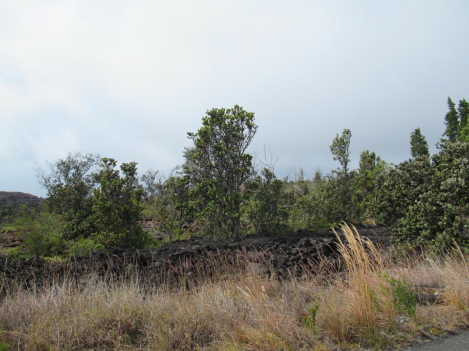 2nd image of King Kalakaua Ln Lot 28