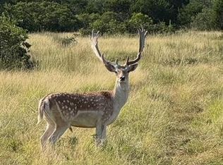 2 El Rincon Rd, Mountain Home, TX 78058