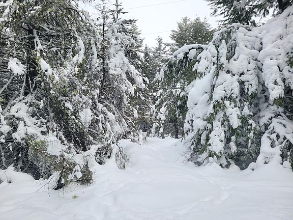 2nd image of LOT 16 Timbering Haven Dr