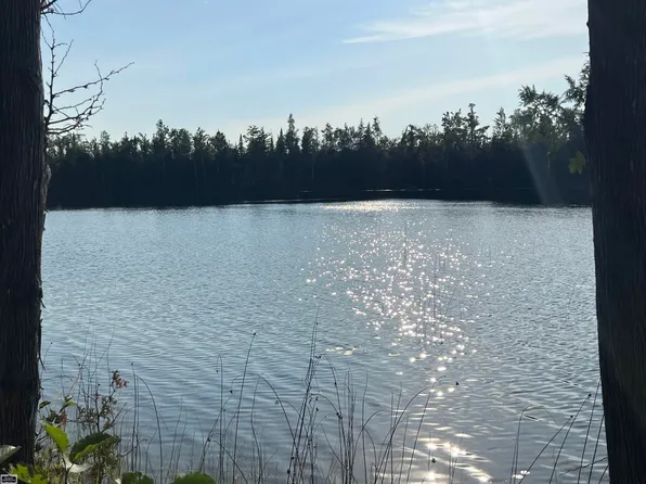 0 Godin Cir, Cheboygan, MI 49721