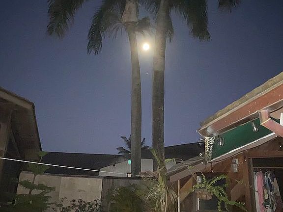 Full moon between 2 palms