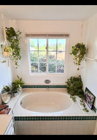 1809 Cerro Gordo St — Photo 12