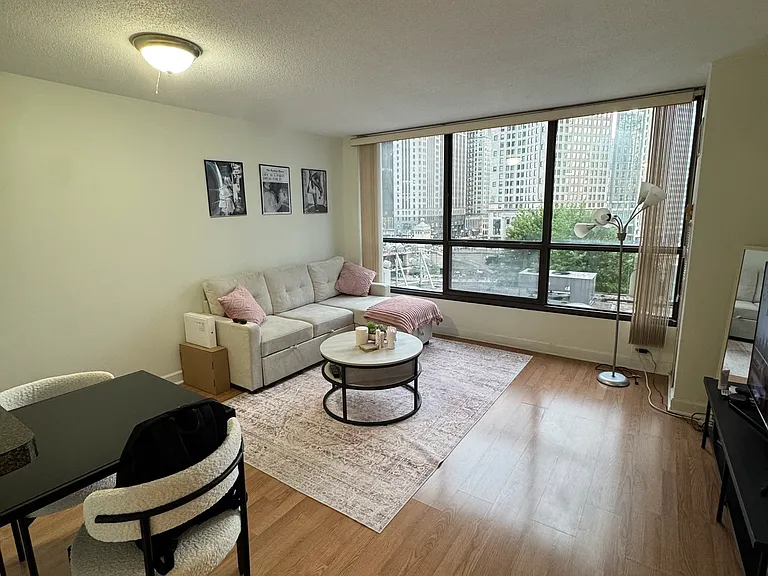 405 N Wabash Ave #209 — Photo 3