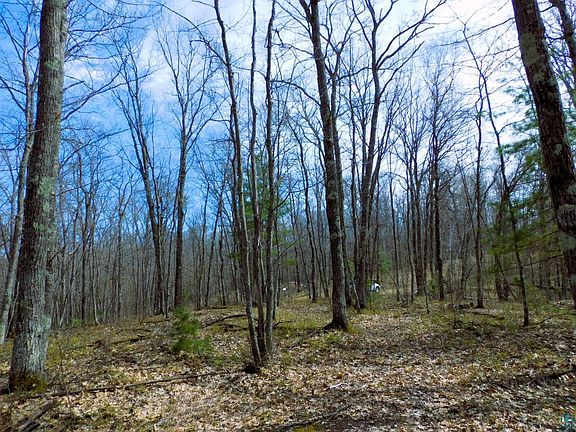 4th image of XXXX Polkoski Way Lot 4 (9.12 acres) CSM 2307