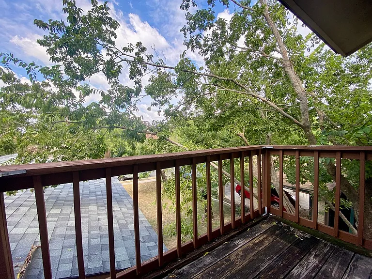 1509 Cinnamon Path — Photo 16