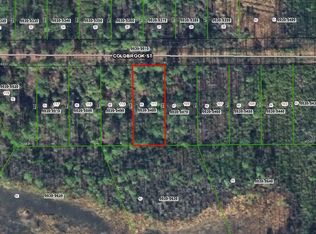 111 Coldbrook St, Georgetown, FL 32139